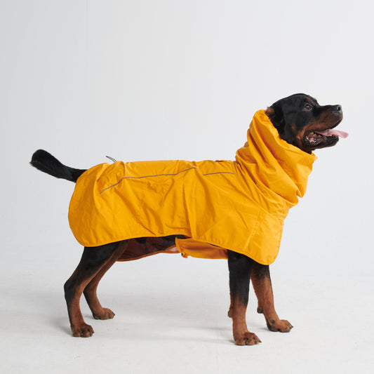 Breathable Dog Raincoat (Multi-Color)